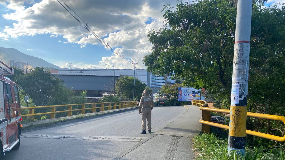 Un enjambre de abejas generó una emergencia cerca de la estación La Estrella del Metro