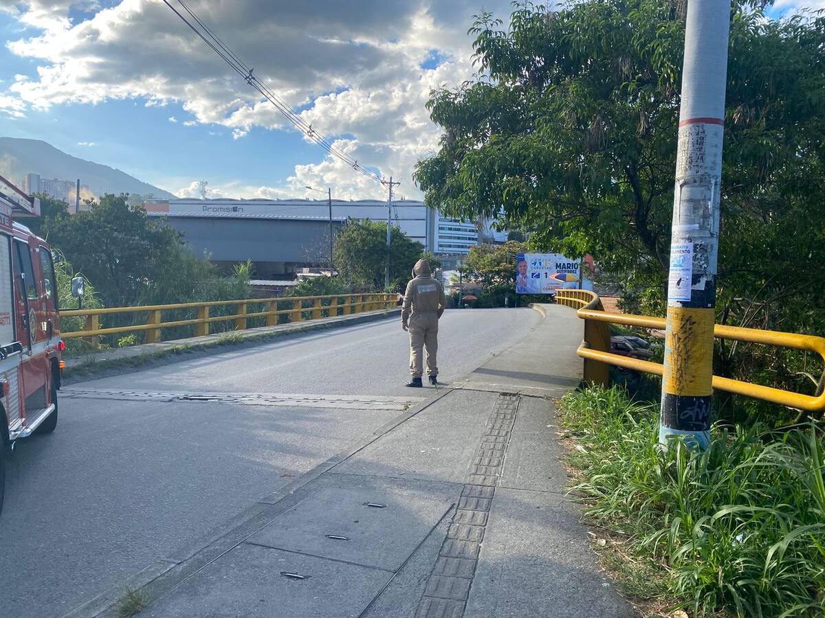 Un enjambre de abejas generó una emergencia cerca de la estación La Estrella del Metro