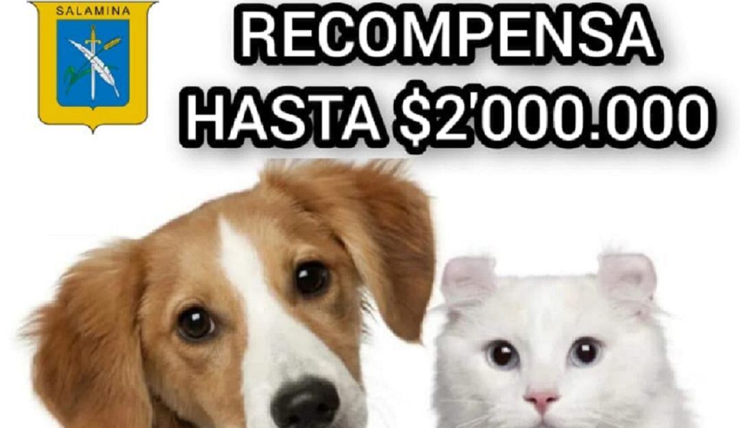 Recompensa por información veraz sobre artífices del envenenamiento de animales en Salamina