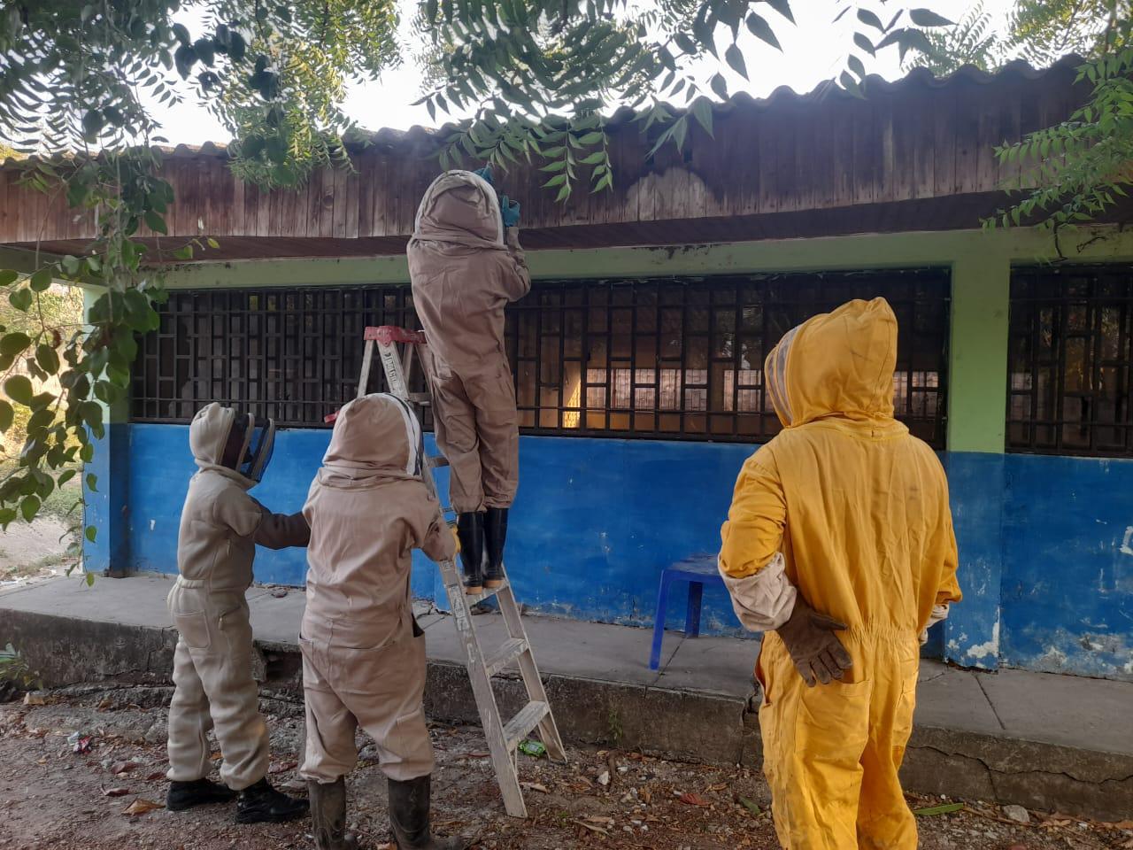 Abejas atacaron a estudiantes en colegio de Santa Catalina en el norte de Bolívar
