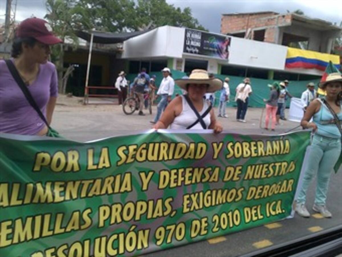 Avanza marcha nacional indígena