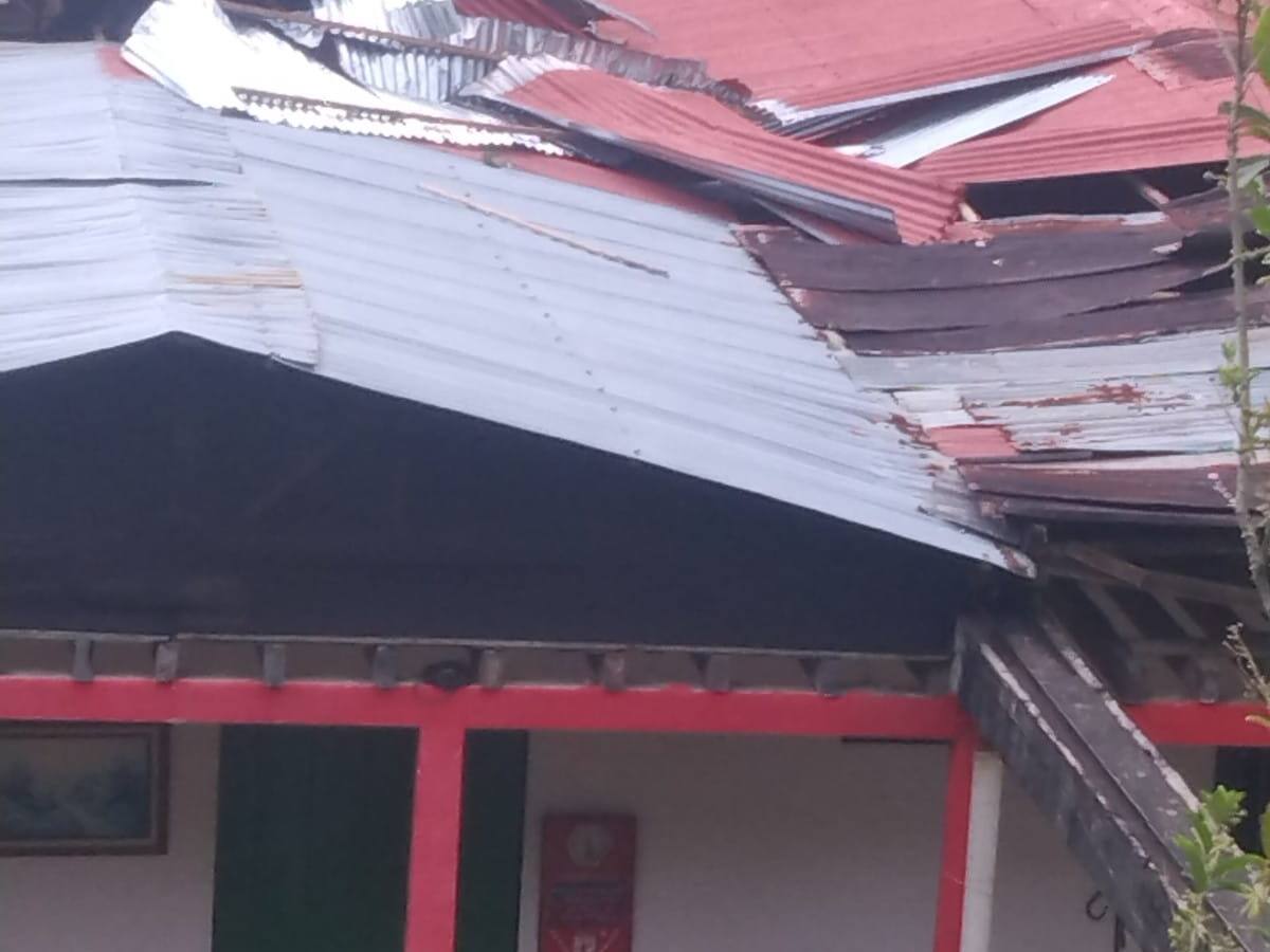 40% de fincas y cultivos de plátano afectados por vendaval en Córdoba, Quindío