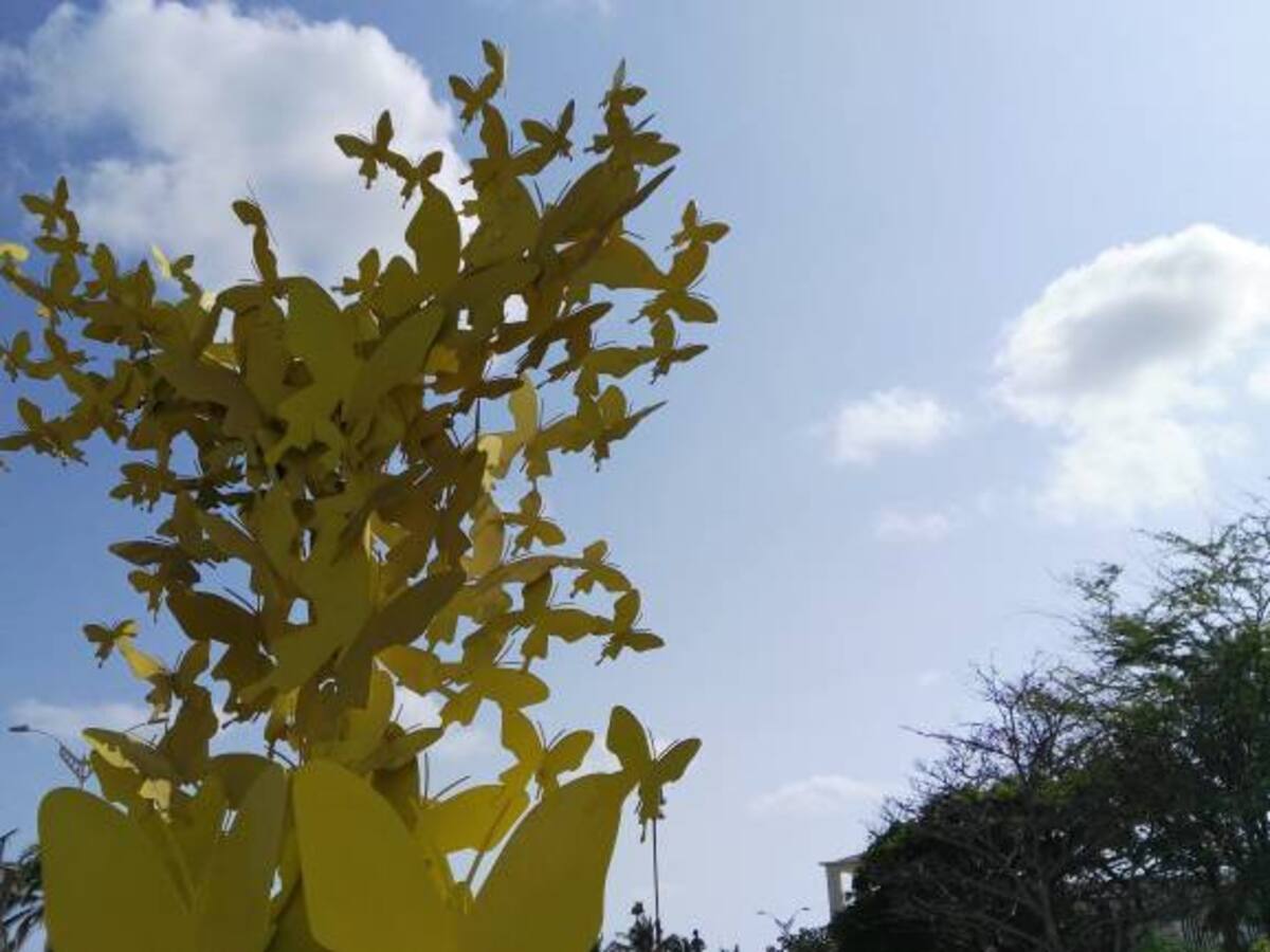 Ruta de Gabo en Riohacha, un plan para los amantes de la literatura