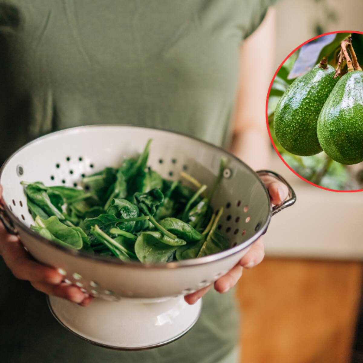 ¿Qué cura la hoja de aguacate y cómo se prepara? Lo que revelaron expertos