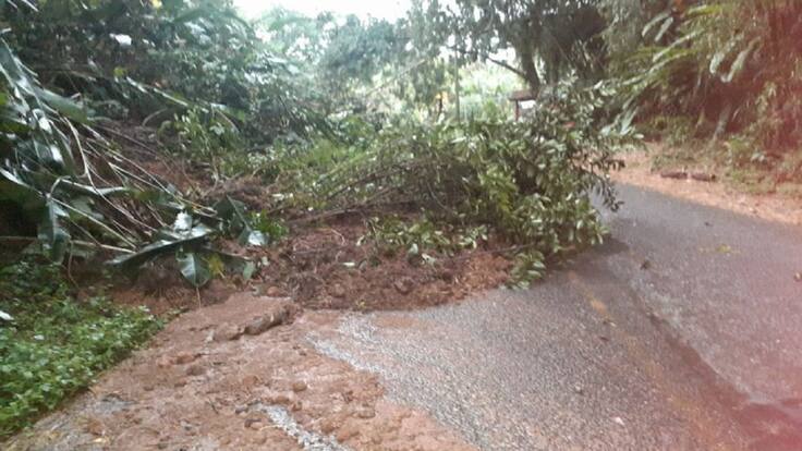 Alexis Gómez, alcalde de Buenavista, Quindío