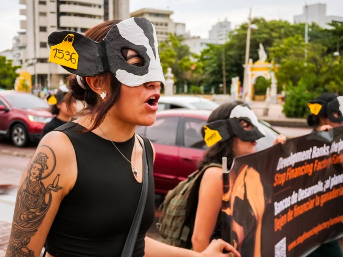 Activistas exigen a los Bancos de Desarrollo que desfinancien la ganadería industrial