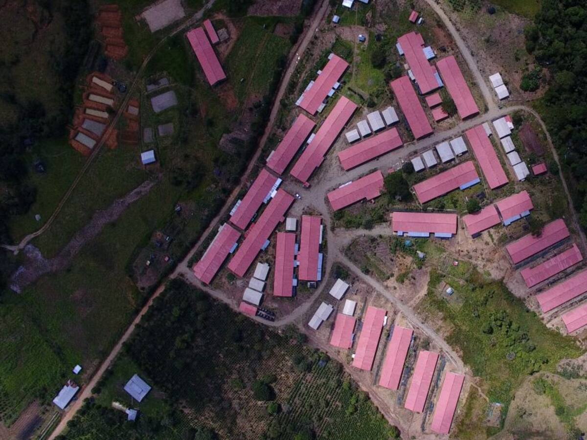 Denuncian baja inclusión en temas de niñez en PDT de zonas de conflicto