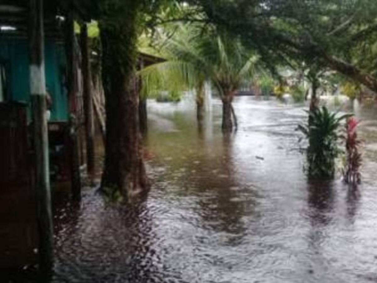1.500 hombres de la Armada apoyan a damnificados en Vichada y Guainía