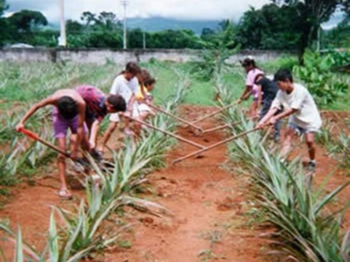 El gobierno destinará $40 mil millones para apoyar a los agricultores