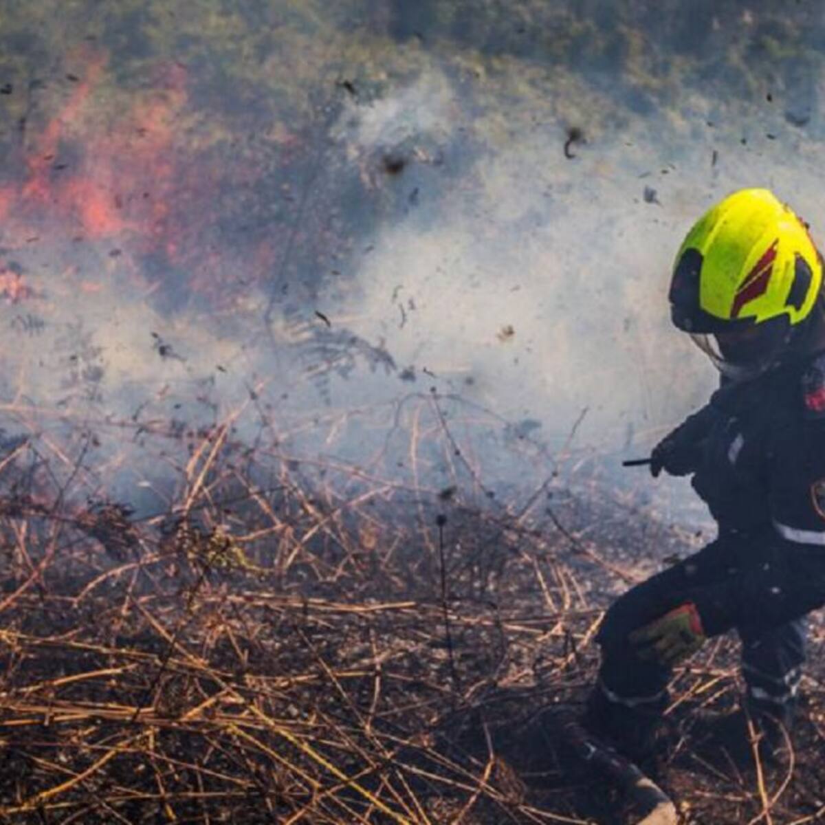 Tragedia ambiental en Boyacá: incendio destruyó 118 hectáreas de Bosque