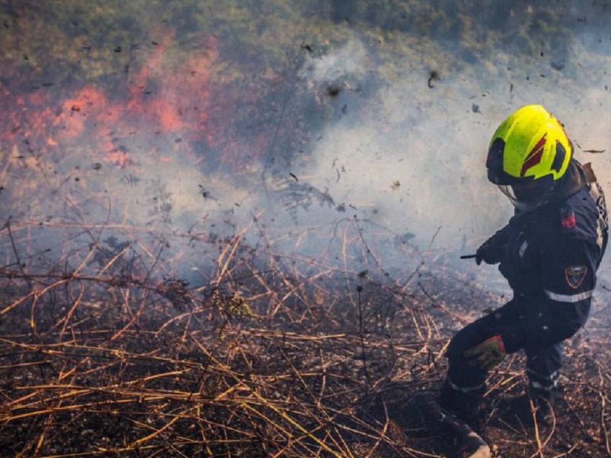 Tragedia ambiental en Boyacá: incendio destruyó 118 hectáreas de Bosque