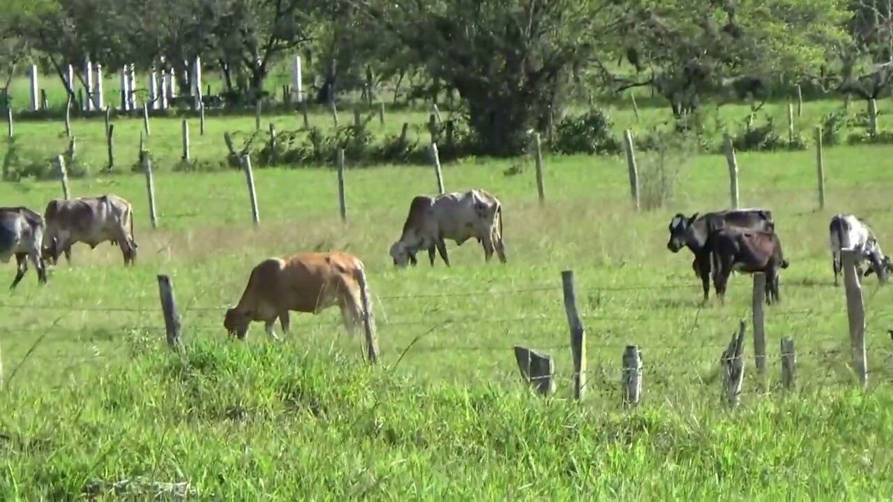 Las perdidas ascienden a $150 millones de pesos diarios.