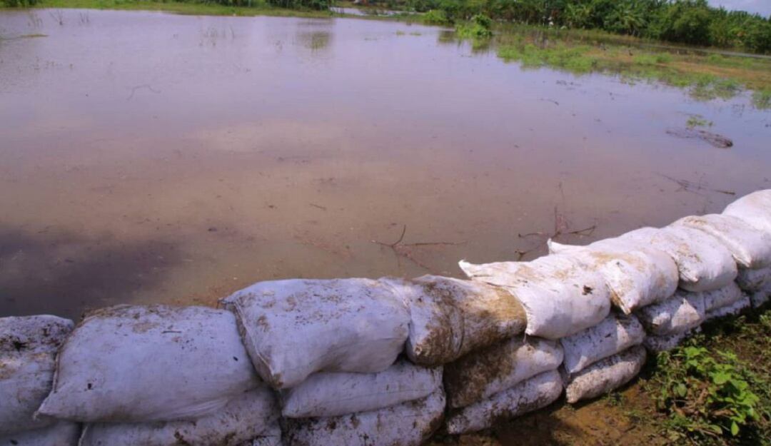 Una de las zonas del Canal del Dique. Cortesía: Gobernación 