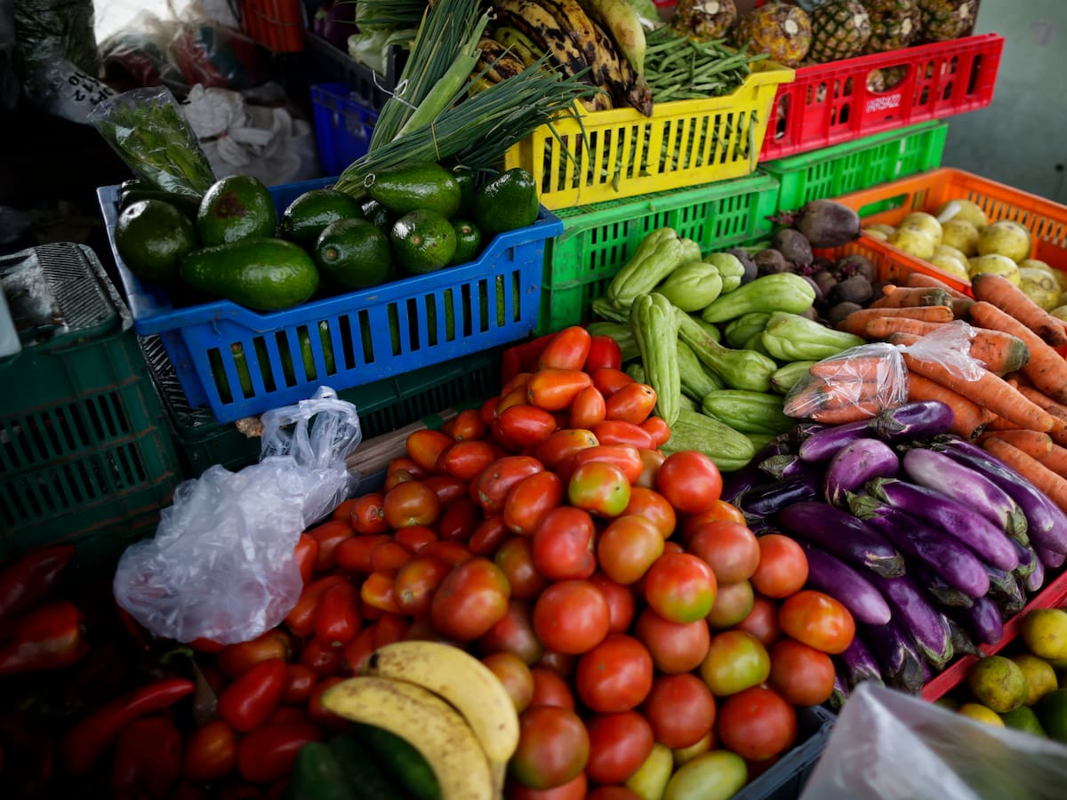 Alimentación sostenible para cuidar la biodiversidad