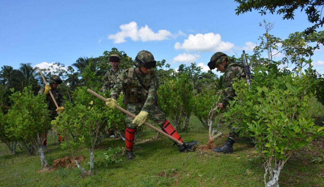 También fue hallada cerca de una tonelada de hoja de coca.