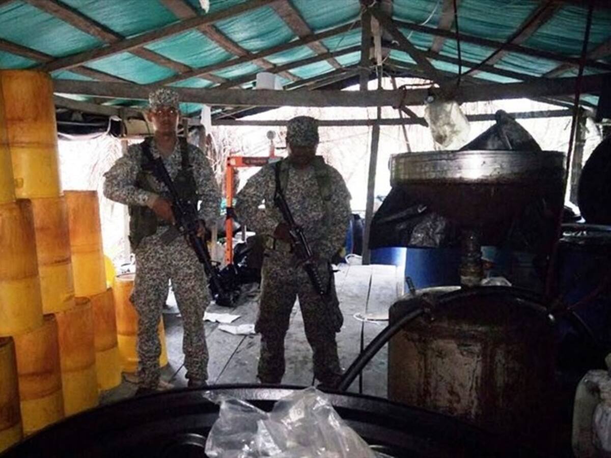 Destruyen complejo cocalero en el Chocó