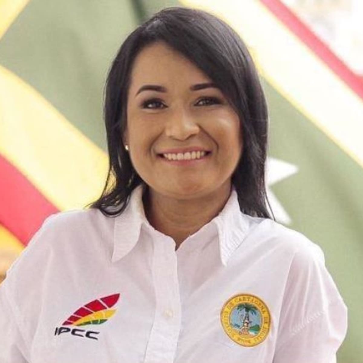 Diplomado IPCC- USB: Avances en la profesionalización artística y Cultural