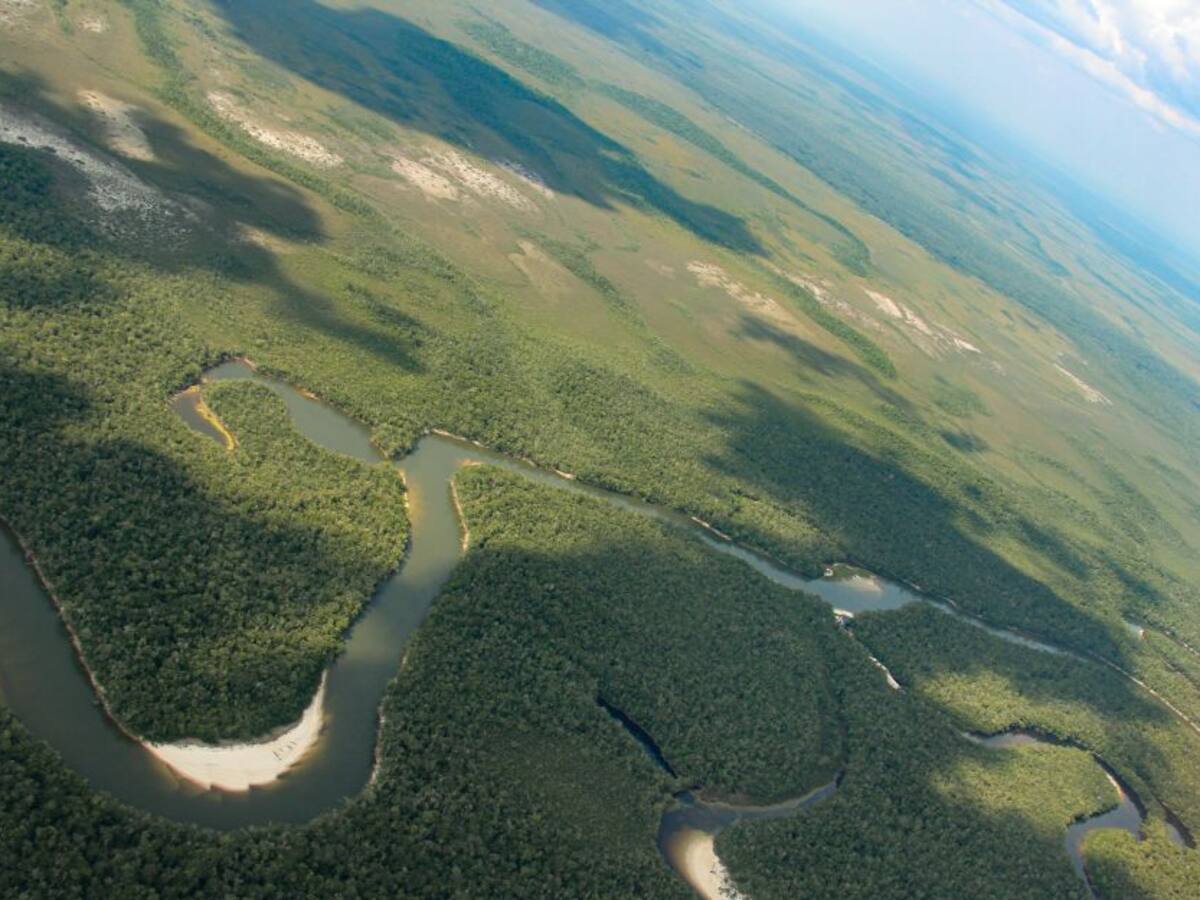 La importancia y riqueza de nuestros bosques