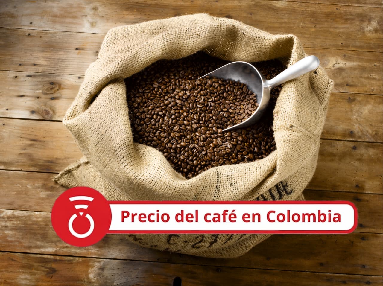 Café en lona - Foto Getty Images / Jeffrey Coolidge