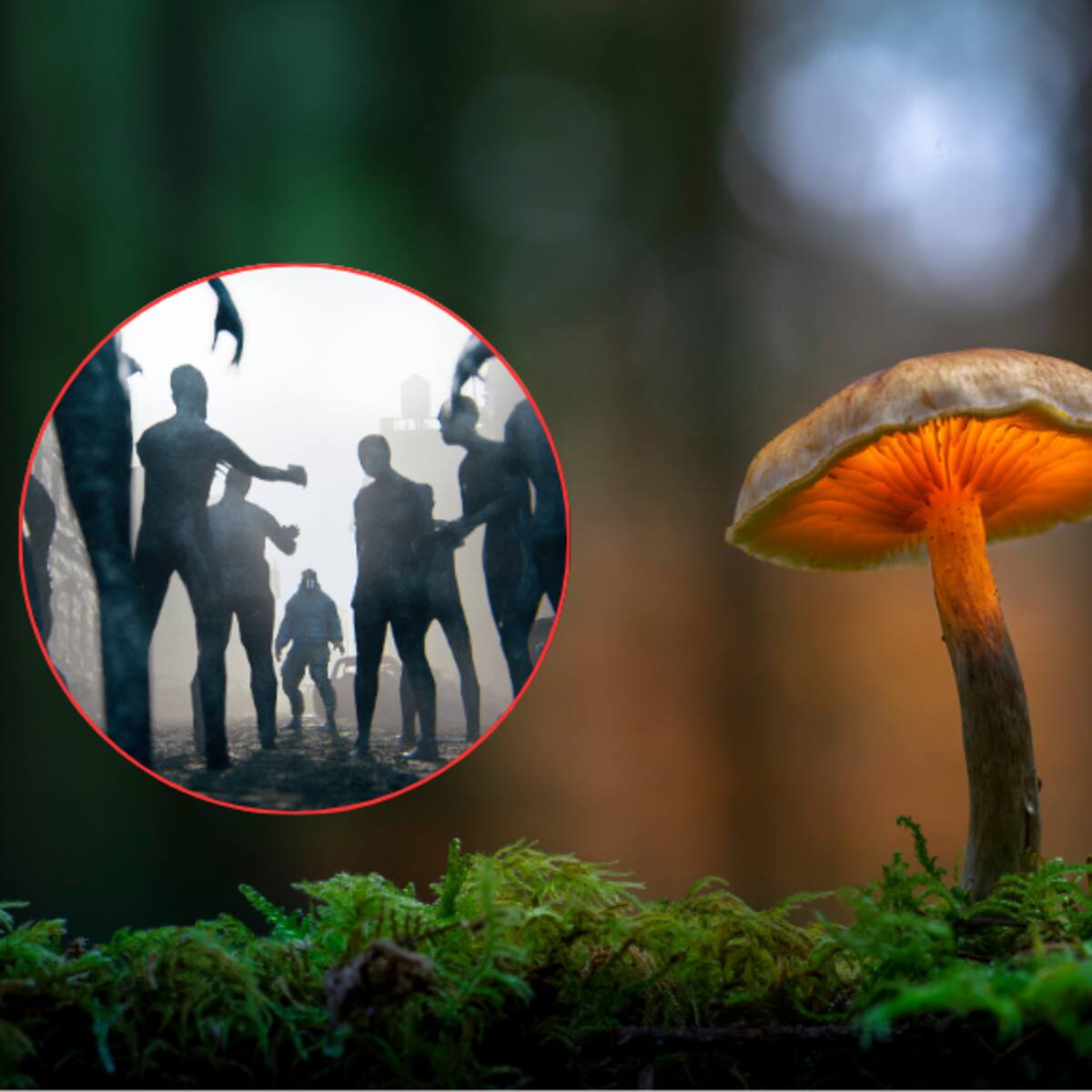 ¿Podrían los hongos evolucionar y controlar a los humanos? IA responde la duda científica