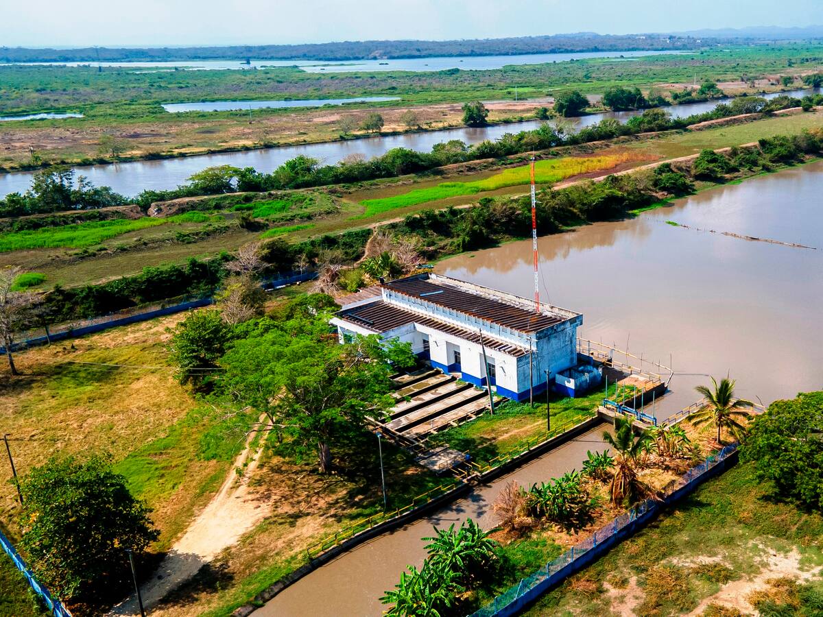 Proliferación de algas en la captación vuelve a afectar la producción de agua