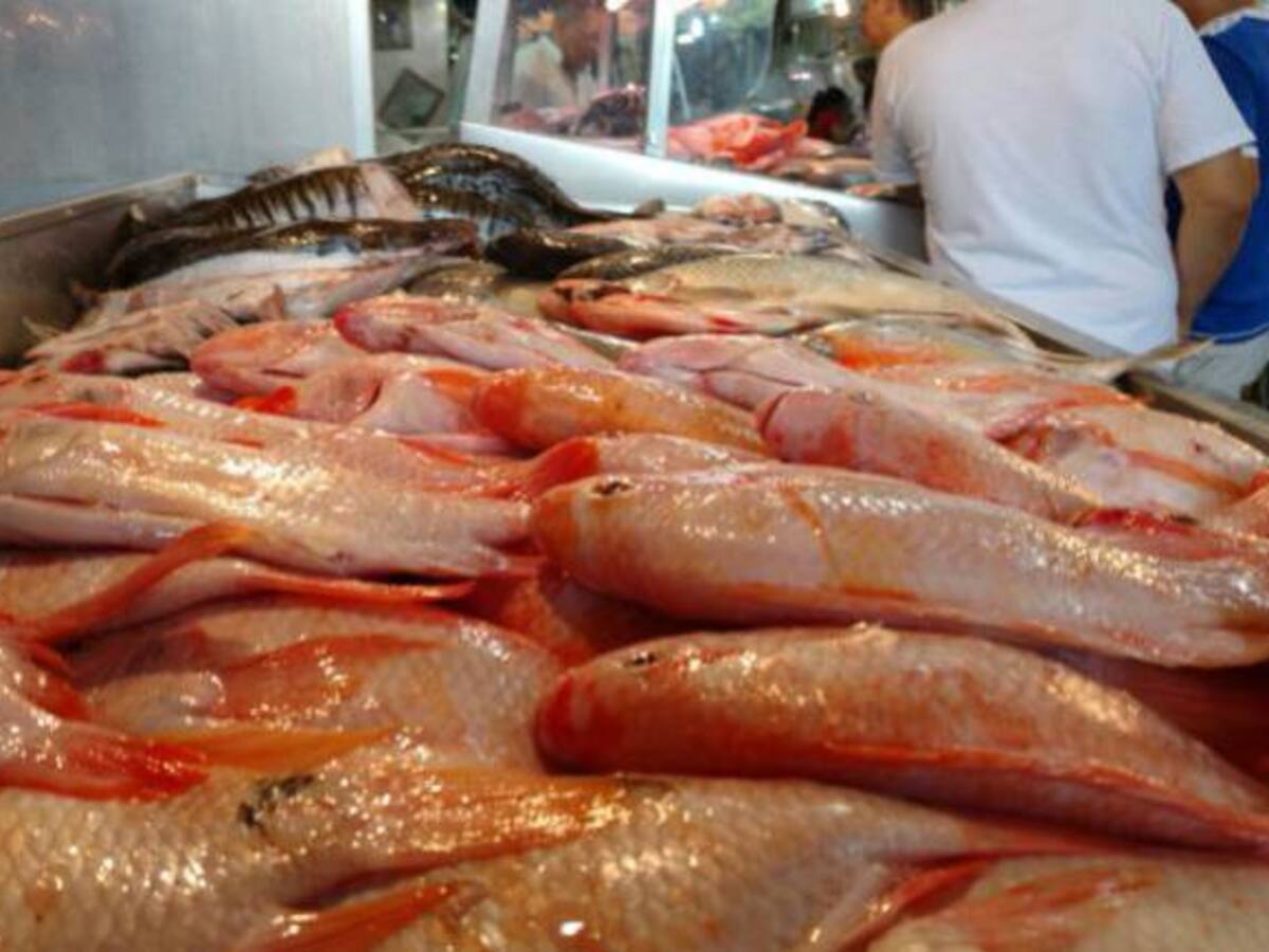 Fenómeno de El Niño afecta a los pescadores de Caldas