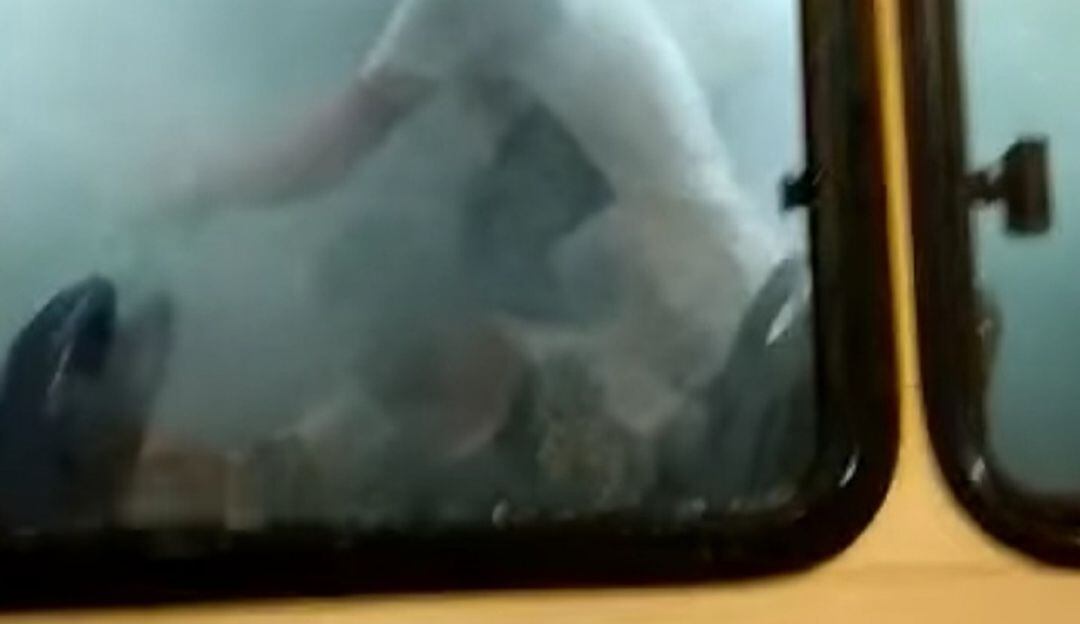 Buseta afectada con gas lacrimógeno