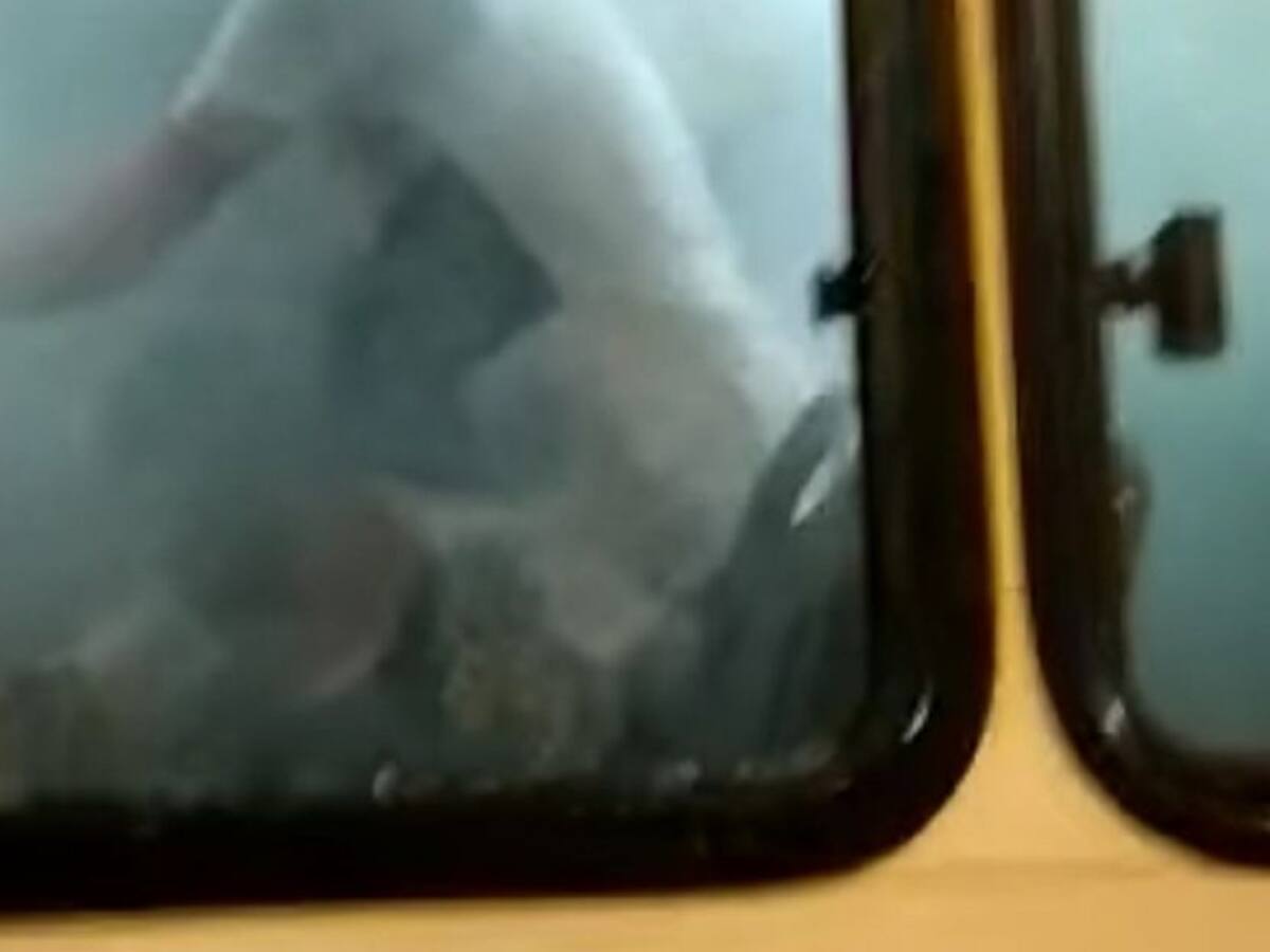 Alcaldía investigará suceso del gas lacrimógeno en una buseta