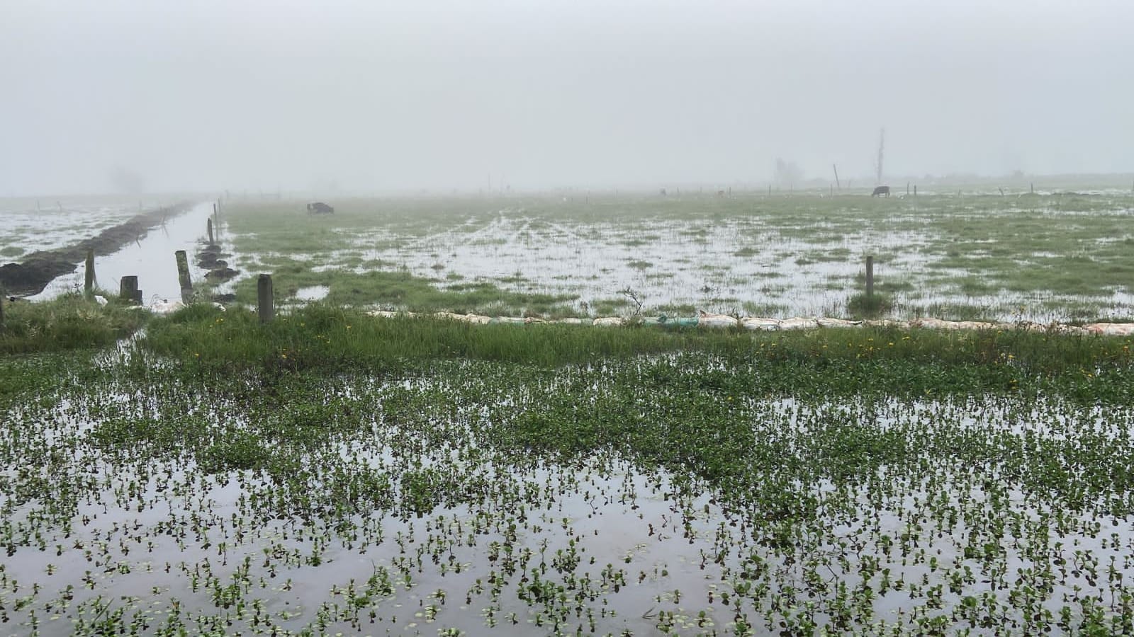 Inundados valle de San Miguel de Sema / Caracol Radio.