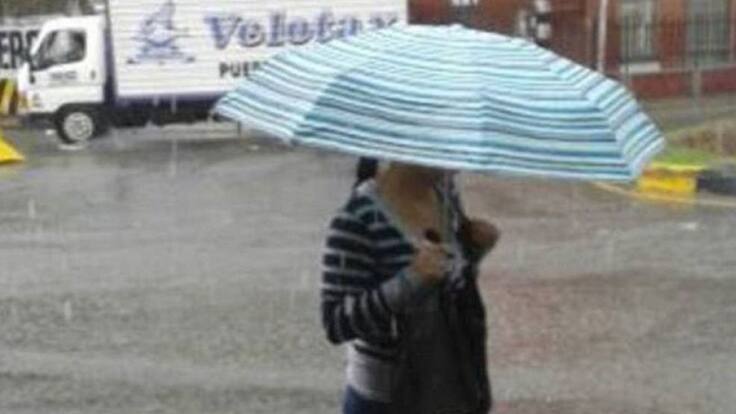 Director Udegerd, César Jaramillo