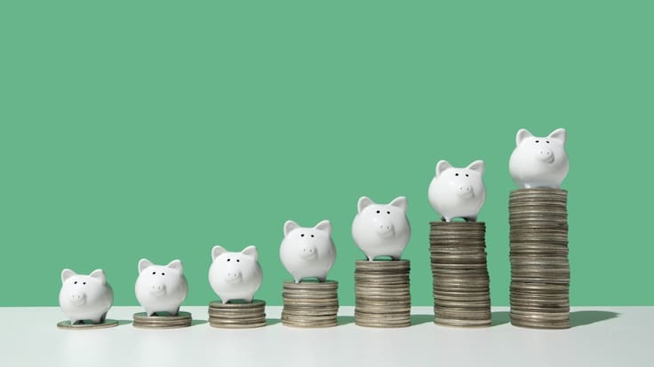 ¿Cómo organizar el año económicamente?