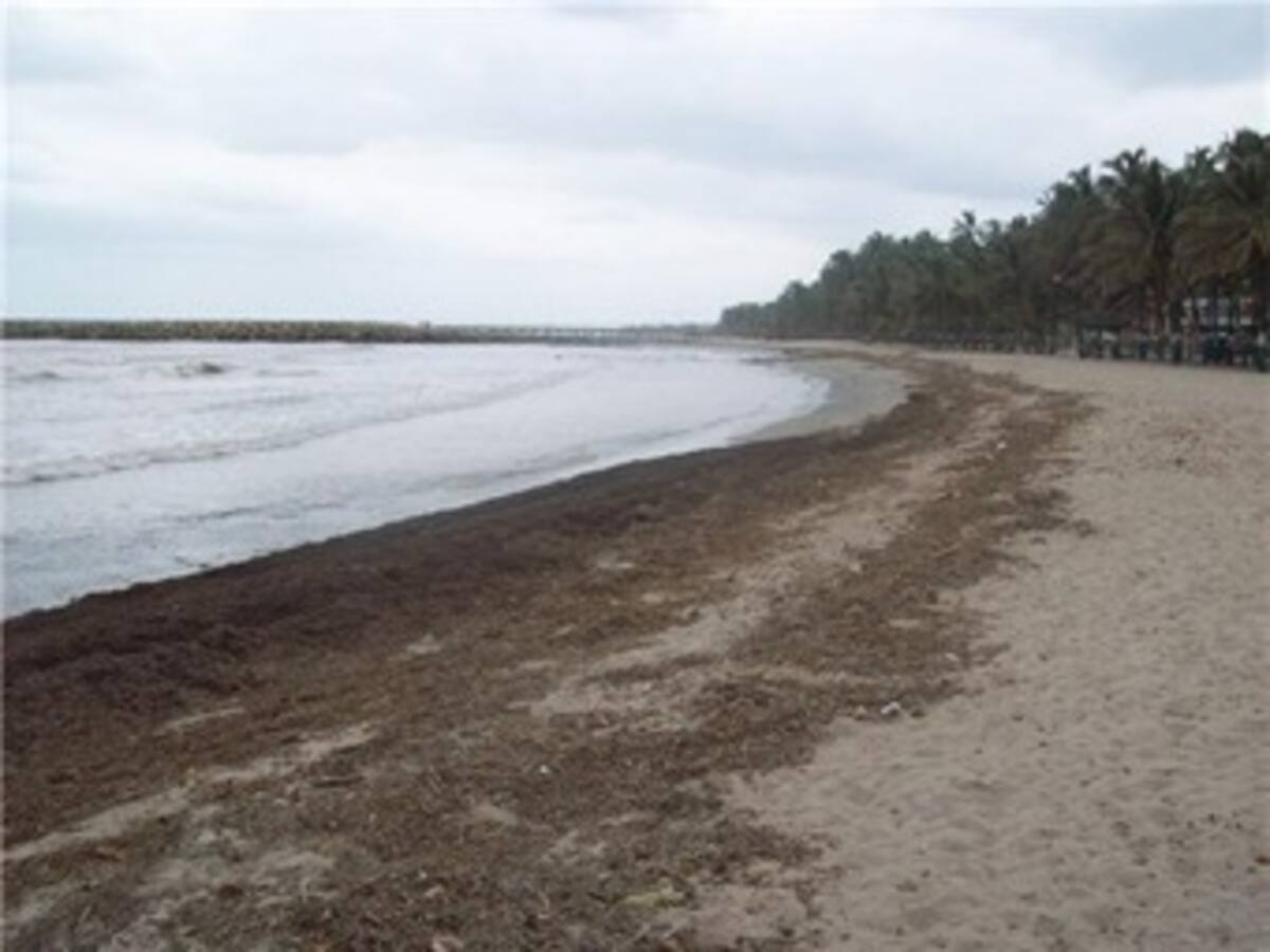 Multada la Administración Departamental de la Guajira por mal manejo ambiental de las playas