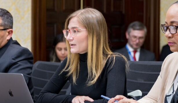 Viceministra de Defensa, Daniela Gómez