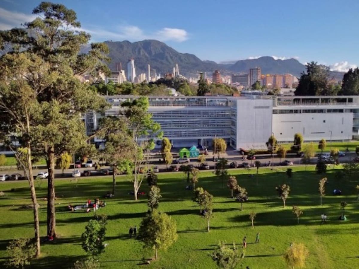 “Desde 2019 hay presencia de grupos terroristas en universidades”: excomandante Policía de Bogotá