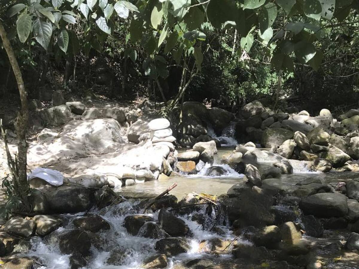Descubren el cuerpo sin vida de una mujer con signos de violencia en zona rural de Ibagué