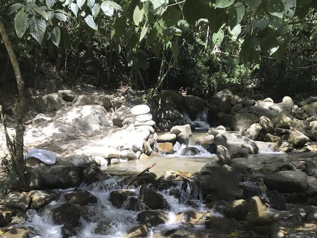 Descubren el cuerpo sin vida de una mujer con signos de violencia en zona rural de Ibagué