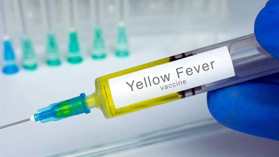 Vacuna contra la fiebre amarilla. Foto: Getty Images