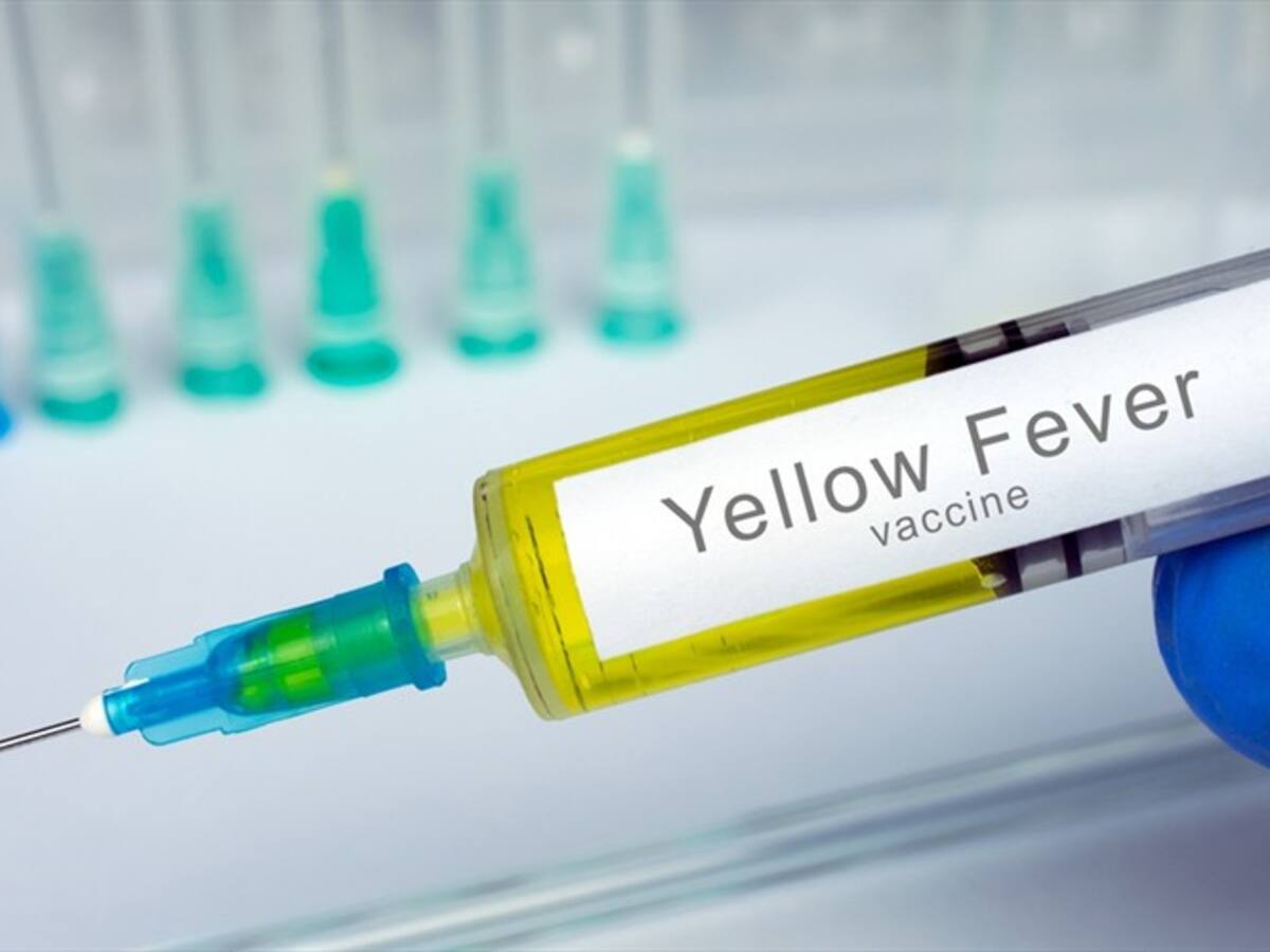 Estas son las personas NO pueden vacunarse contra la fiebre amarilla, según el Ministerio de Salud