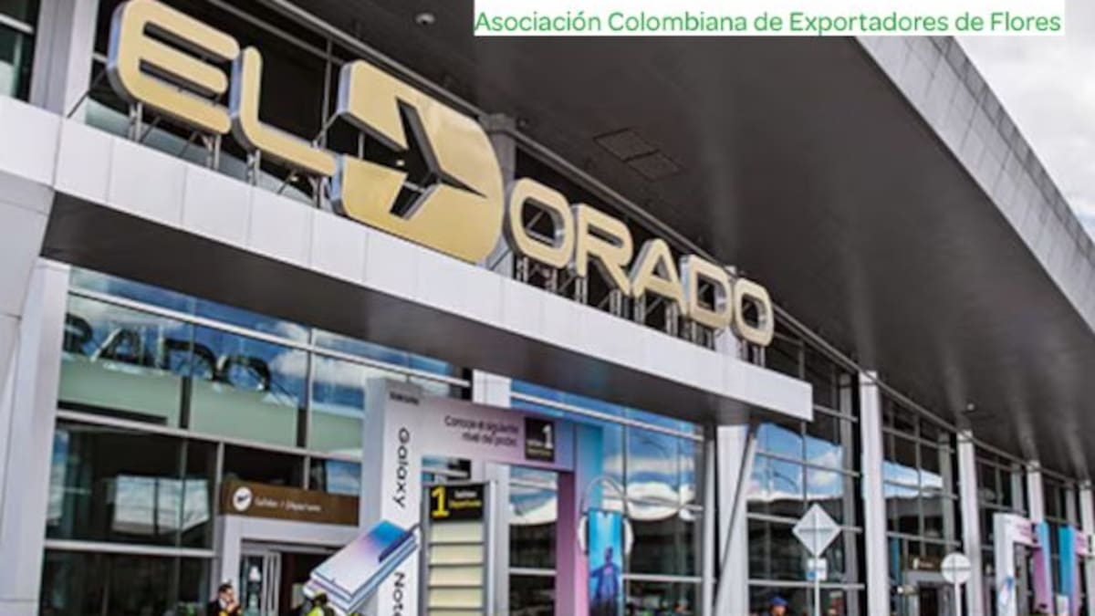 Asocolflores pide revisión técnica rigurosa antes de cambios en asignación de slots en El Dorado