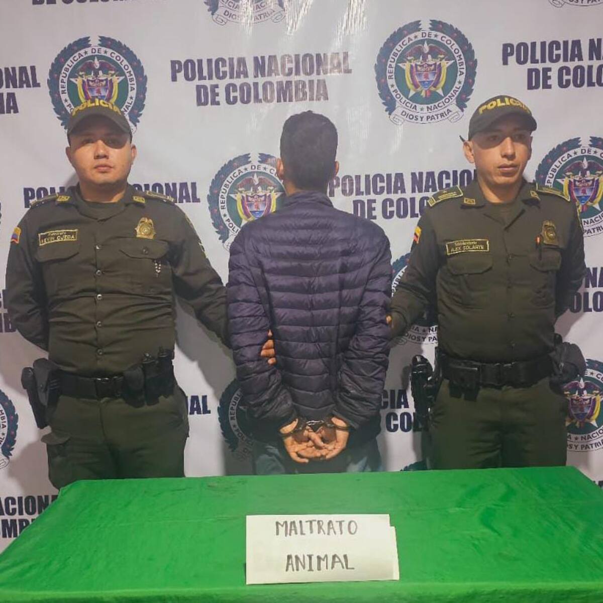 Indignante, hombre mató un perro con arma blanca en Calarcá, Quindío