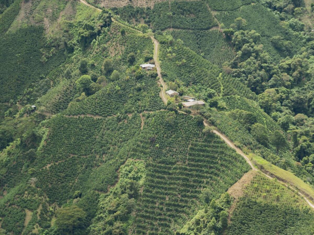 Más de 4.500 hectáreas fueron entregadas en el Huila durante el 2024 por parte de la ANT