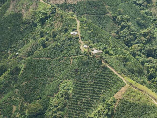 Foto Gobernación del Huila, campesinos del sur del departamento.