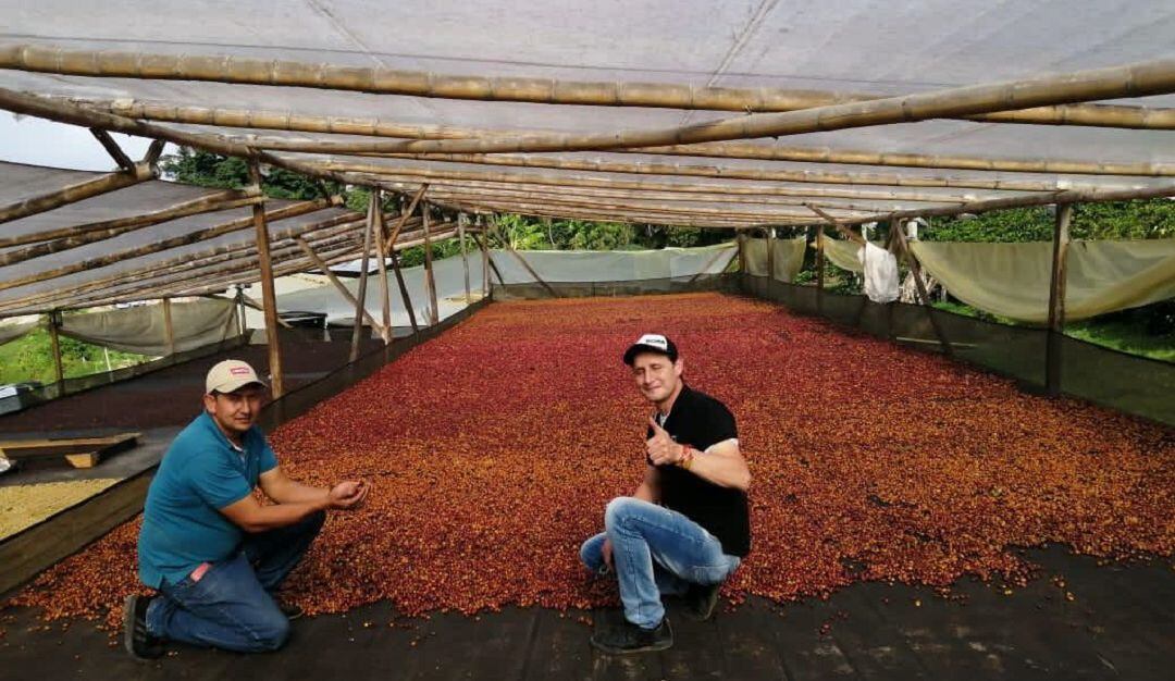 Producción de café en Palestina, Huila.