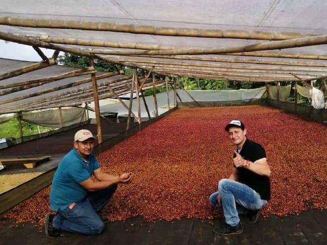 Producción de café en Palestina, Huila.