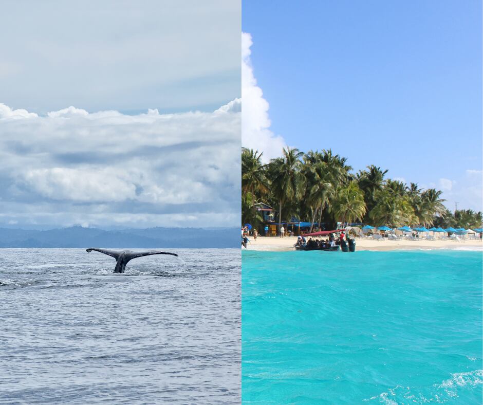 Océano Pacífico y Mar Caribe en Colombia (Getty Images)