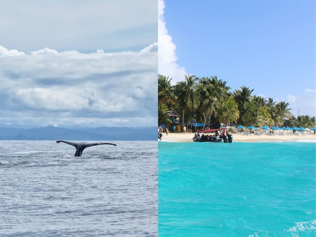 Océano Pacífico y Mar Caribe en Colombia (Getty Images)