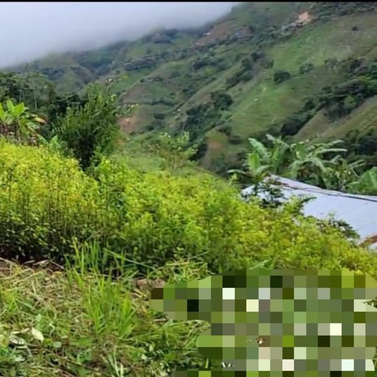 Una mujer capturada herida deja un combate entre ejecito y Clan del Golfo en Antioquia