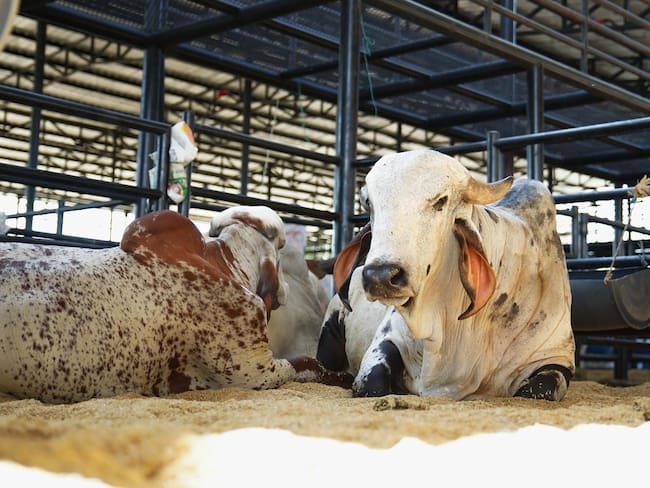 Gobernación de Bolívar