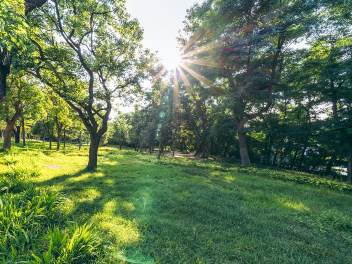 El 76% de los parques naturales de Colombia presentan algún tipo de amenaza