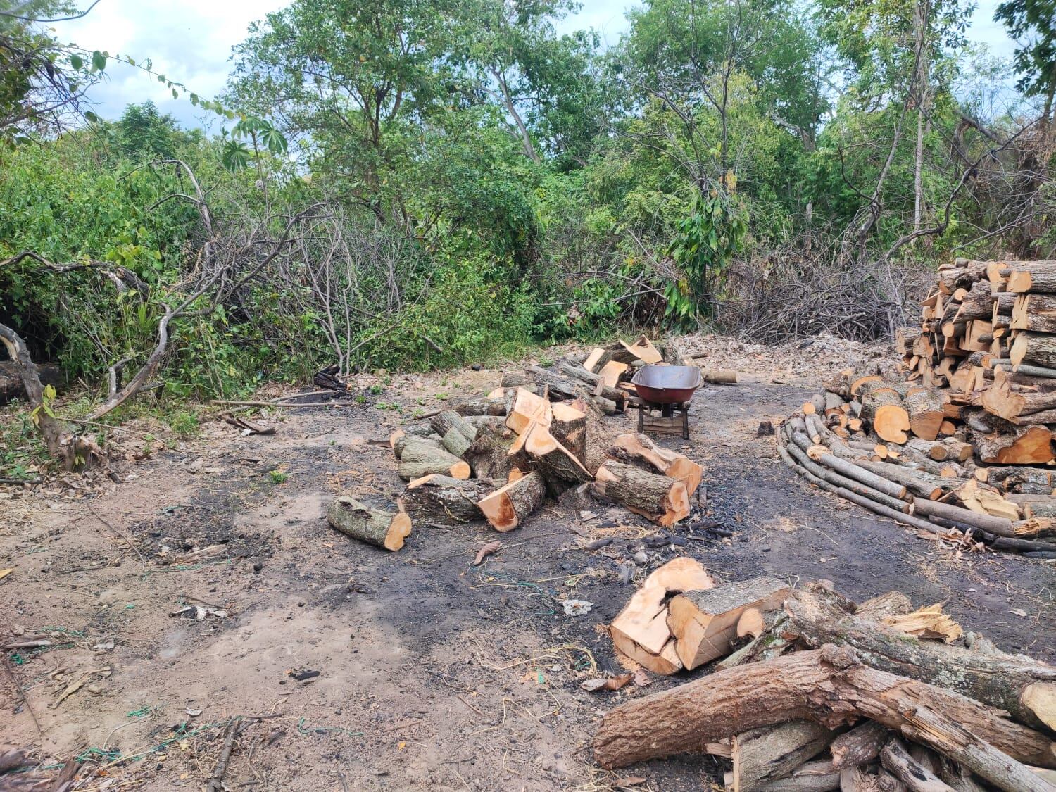 sorprendidos con   200 bultos de carbón vegetal ilegales.  Foto Policía Neiva.